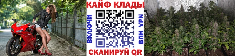 Купить закладку ГАШ  Alpha PVP  МЕФ  Иланский