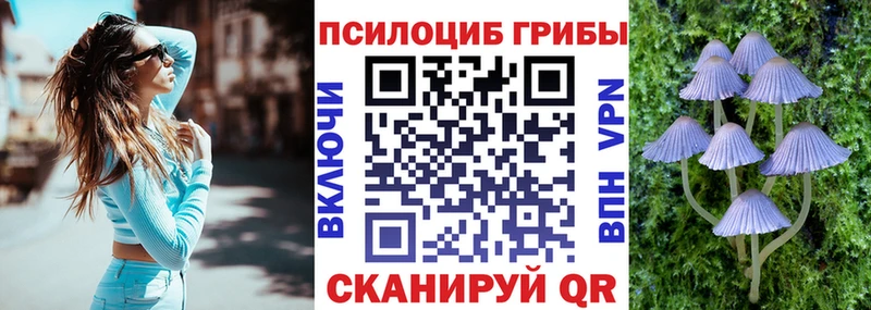 Купить закладки  Иланский  Галлюциногенные грибы мухоморы 